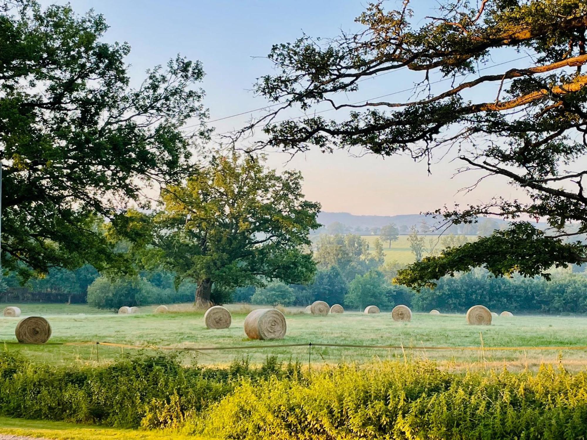 Domaine Le Rianon Villa Malleret-Boussac Kültér fotó