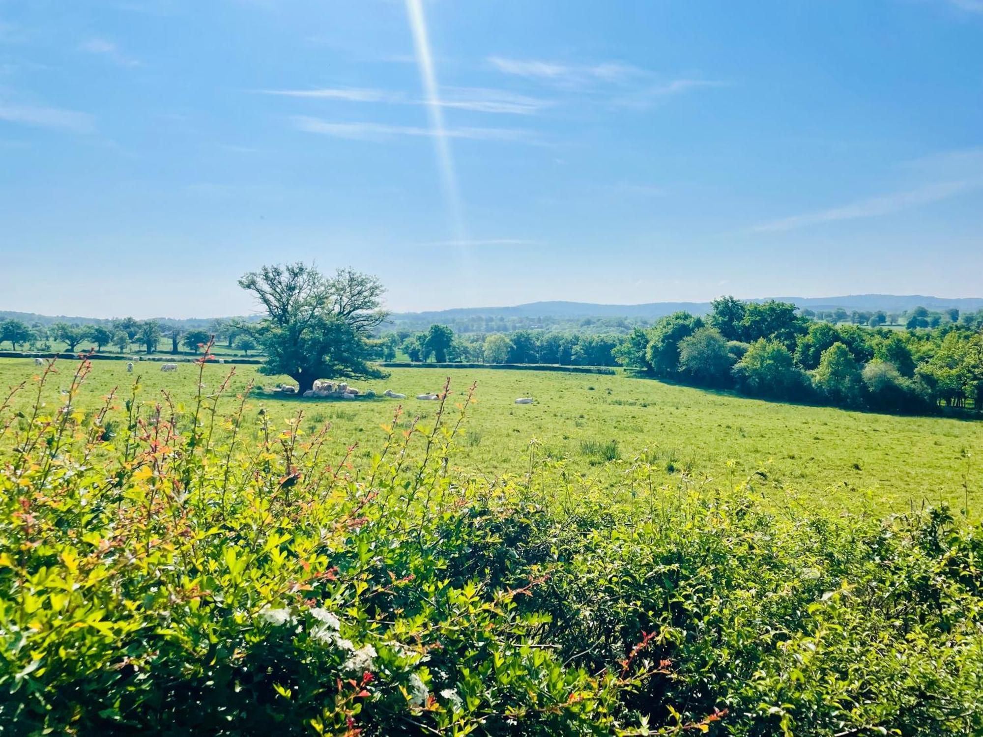 Domaine Le Rianon Villa Malleret-Boussac Kültér fotó